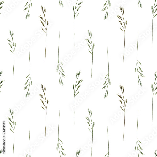 Fototapeta Naklejka Na Ścianę i Meble -  Watercolor seamless pattern with wild field herbs, wild grasses on a white background.