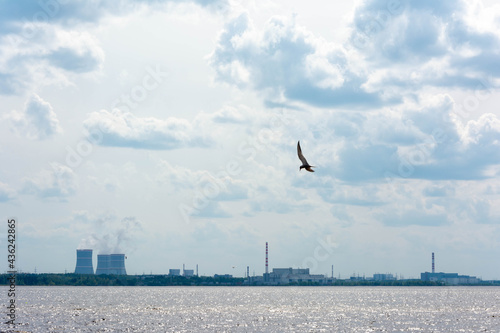 View of the nuclear power plant. The coast of the Gulf of Finland. The cooling towers are floating. Flying gulls, smoke, steam over water, Peaceful atom, clean energy, sea, bay. Lomonosovsky district. photo