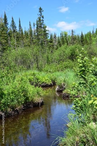 Park of the Doncaster river in southern Quebec