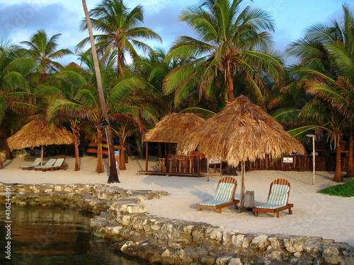 Tropical Resort in Morning Light