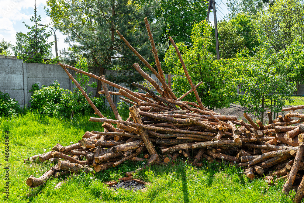 Peeled, uncut logs lying on a pile on the ground in the backyard. Peeled, uncut logs lying on a pile on the ground in the backyard.