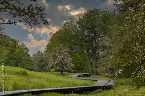 road in the park