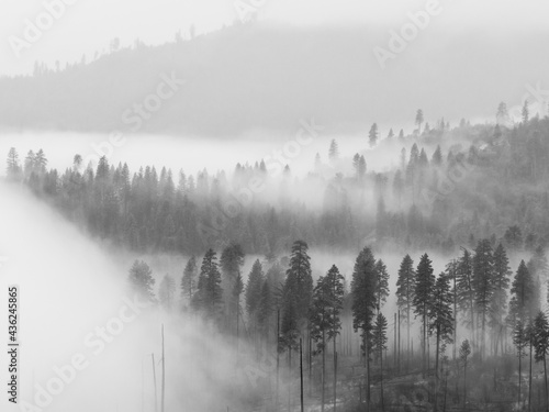 Fog in Yosemite Valley