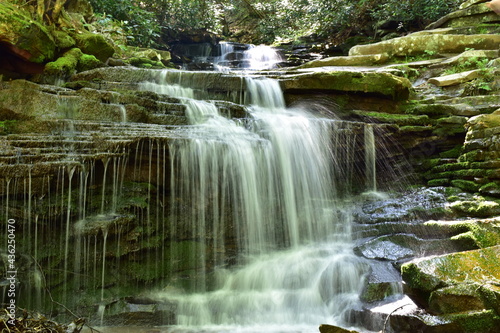 Fototapeta Naklejka Na Ścianę i Meble -  Waterfall in the Forest
