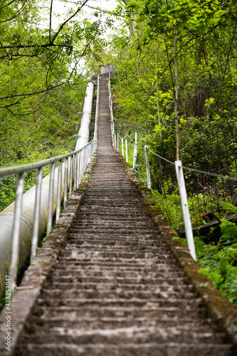 Fototapeta Naklejka Na Ścianę i Meble -  Infinite staircase in a forest 
