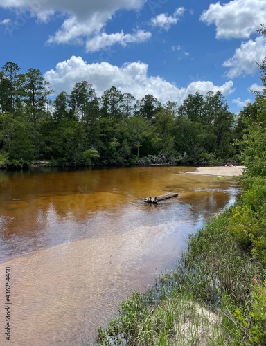 Blackwater River State Park Florida  photo