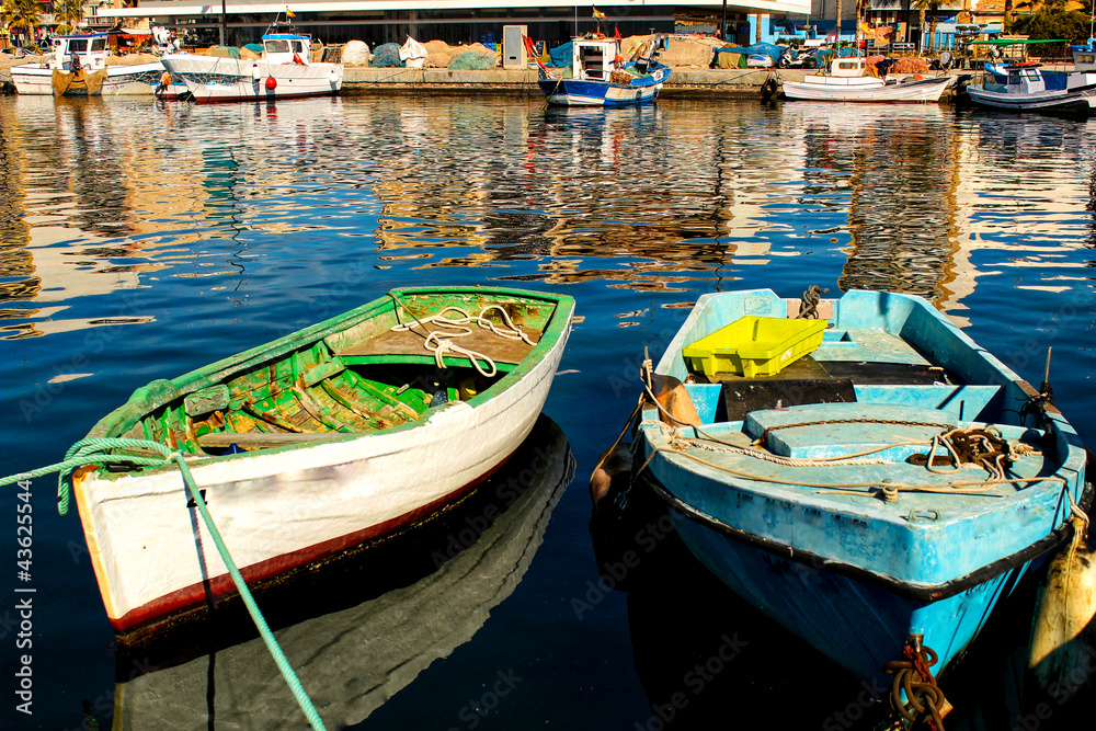 Fishing boats moored in the port