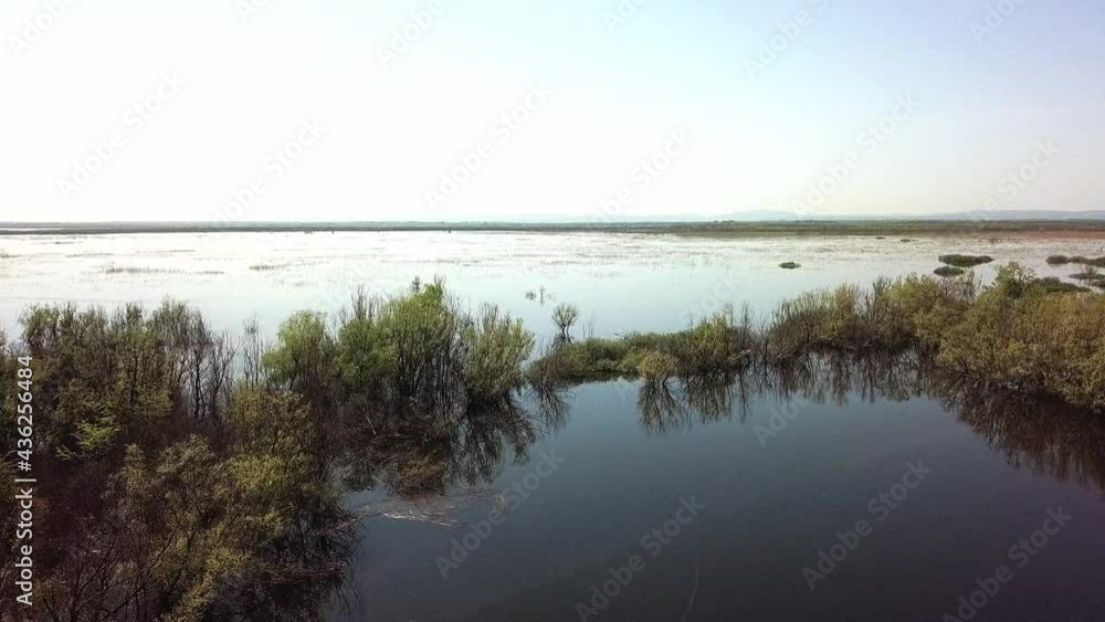 aerial view from drone - spring flood of the river. Trees are in the water. In the distance, on the horizon, the low mountains of the Western Caucasus (South of Russia), a windless sunny day aerial view from drone - spring flood of the river. Trees are in the water. In the distance, on the horizon, the low mountains of the Western Caucasus (South of Russia), a windless sunny day