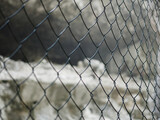 netting on a gray blurred background