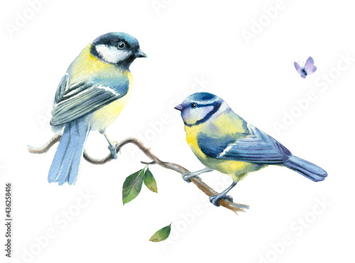Watercolor painting. Two small birds on a branch on a white background.