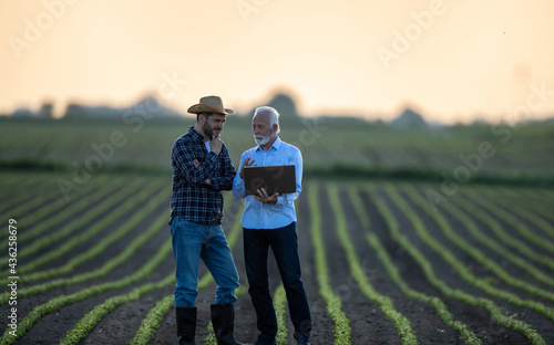 Two men standing in soy field talking Poster Mural XXL