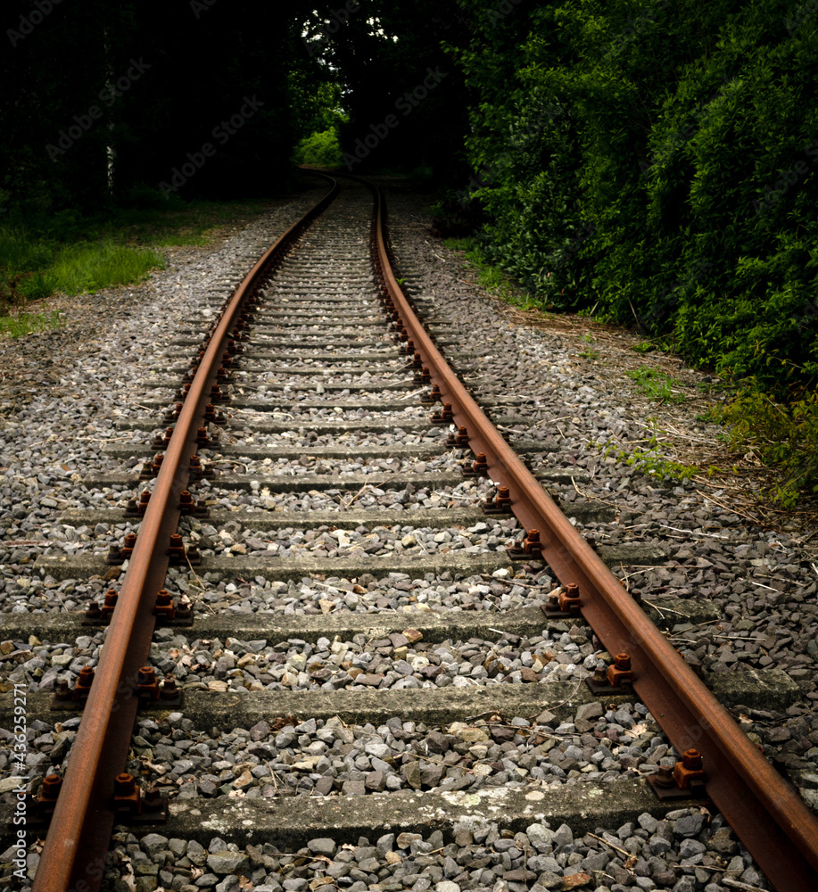 Fototapeta premium Eisenbahnschienen in Germany