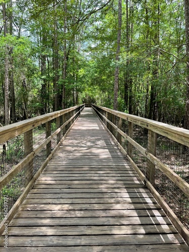  entrance bridge at Blackwater River State Park Florida 