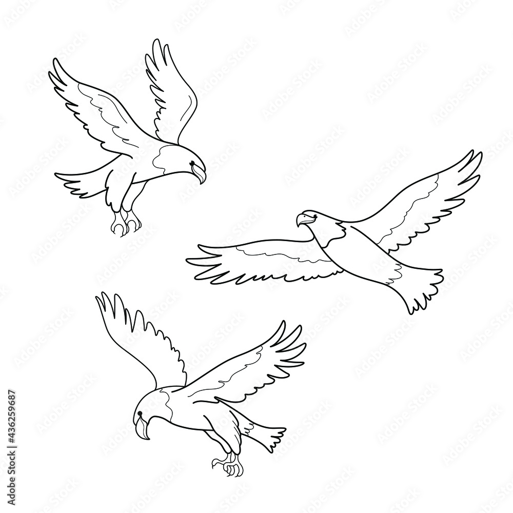Obraz premium Cartoon eagle icon set. Cute bird in different poses. Vector illustration for prints, clothing, packaging, stickers.