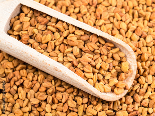 scoop on pile of Fenugreek seeds closeup photo