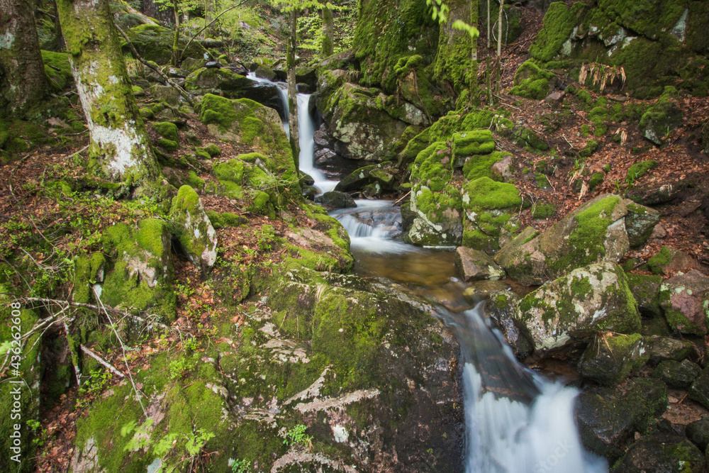 cascades du Rummel dans les Vosges au printemps sur la commune de Lepuix. Un site naturel frais, verdoyant et préservé. cascades du Rummel dans les Vosges au printemps sur la commune de Lepuix. Un site naturel frais, verdoyant et préservé.