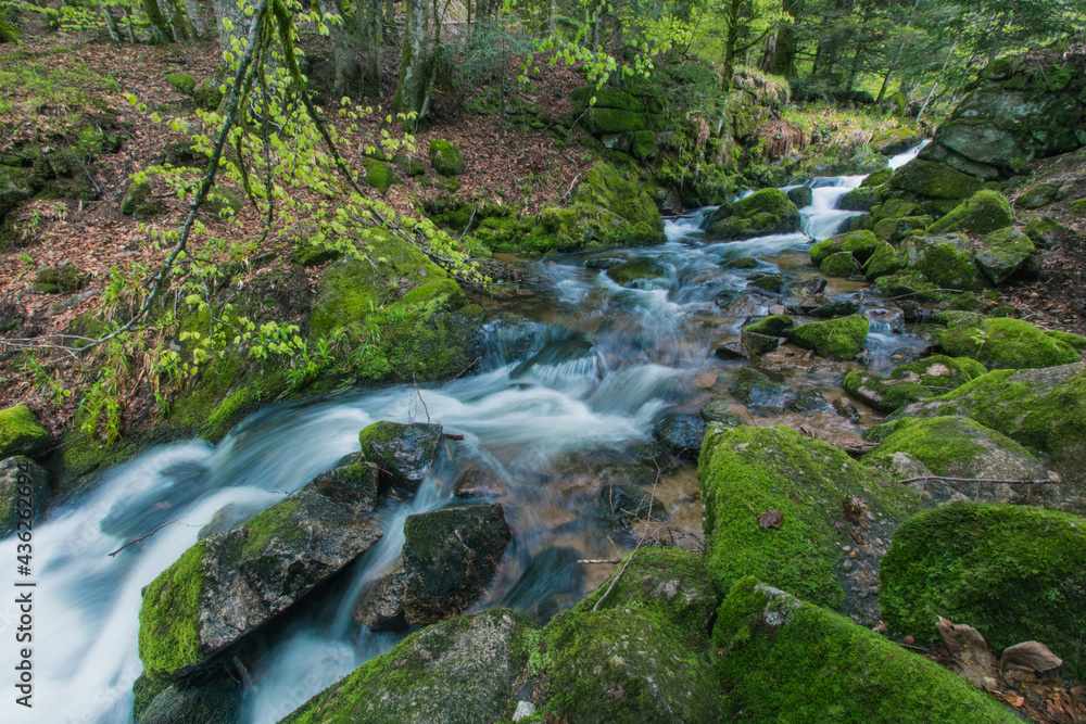 cascades du Rummel dans les Vosges au printemps sur la commune de Lepuix. Un site naturel frais, verdoyant et préservé. cascades du Rummel dans les Vosges au printemps sur la commune de Lepuix. Un site naturel frais, verdoyant et préservé.
