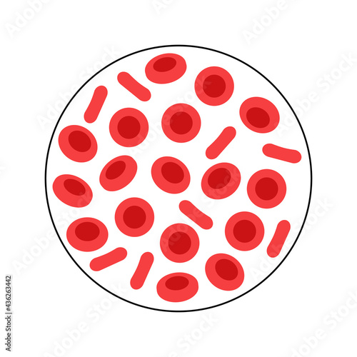 Blood structure concept