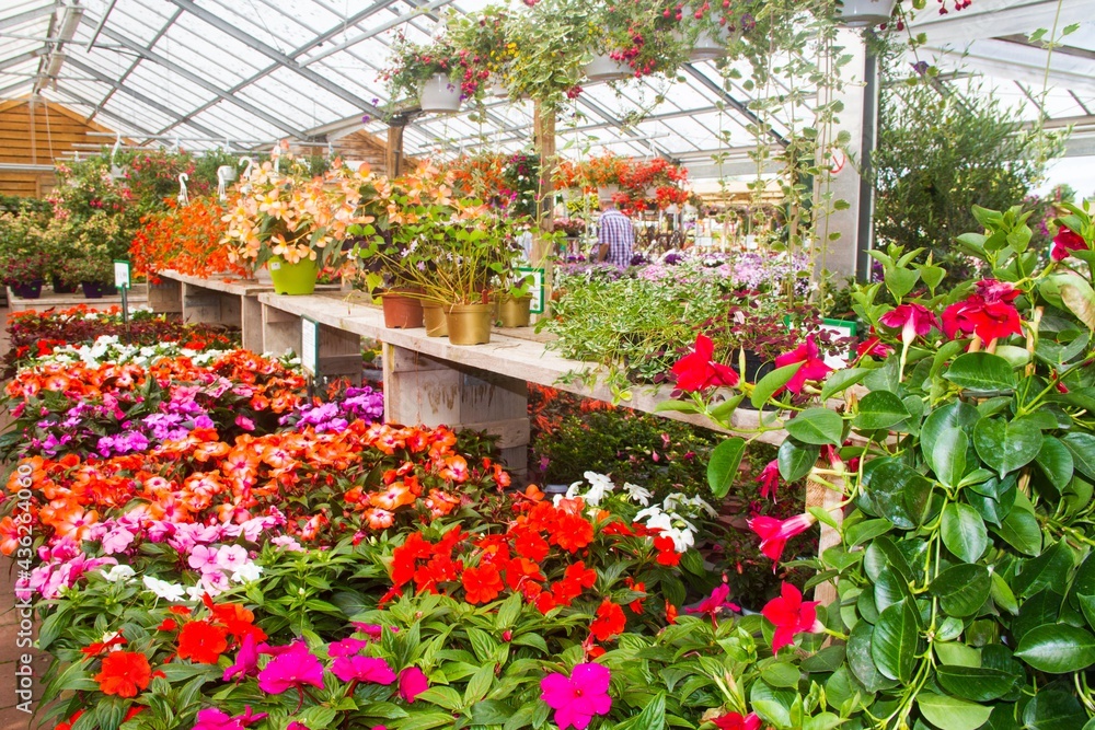 Cross section of beautiful flower shop Cross section of beautiful flower shop