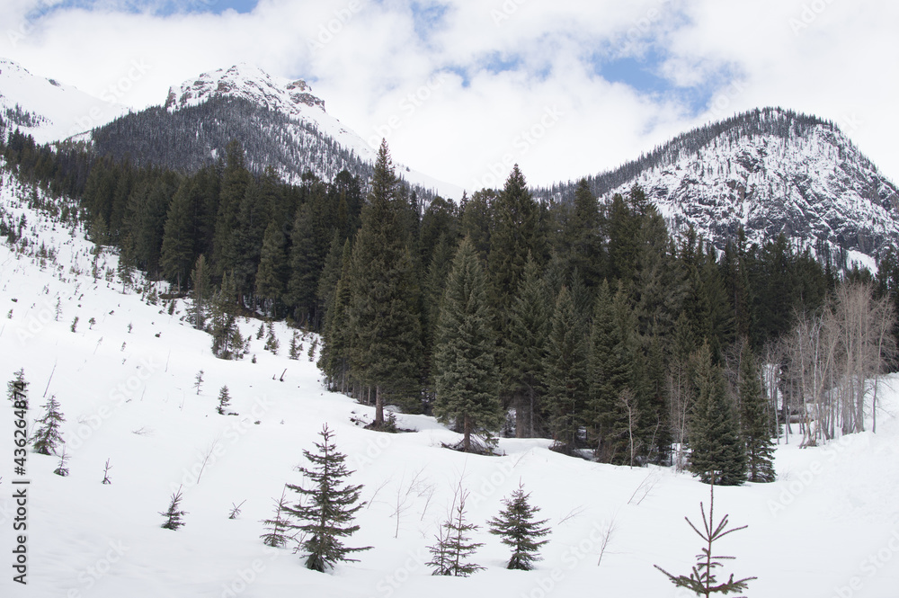 Snow Covered Mountain Range Peaks Snow Covered Mountain Range Peaks
