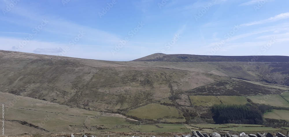 Naklejka premium landscape with mountains
