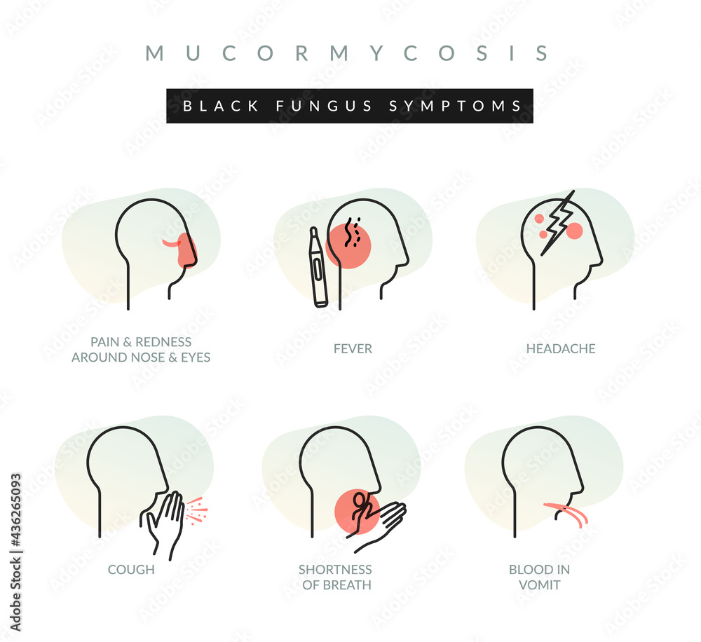 Mucormycosis Black Fungus Symptoms Icon Stock Vector Adobe Stock