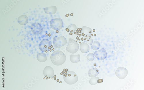 Mucor Fungus Spores - Illustration