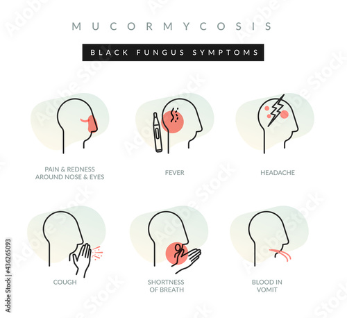 Mucormycosis - Black Fungus - Symptoms - Icon