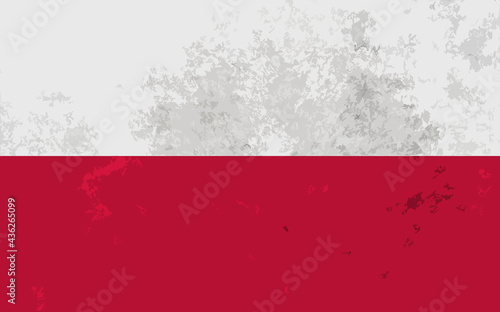Bandera Polonia vector AI (EPS) y JPEG