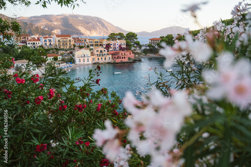 Assos village on Kefalonia Island in Greece. View of a beautiful bay with blossom flowers in the foreground © Igor Tichonow