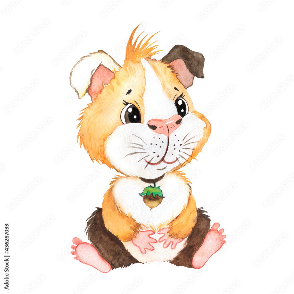 Guinea pig watercolor illustration. Cute pet, rodent, funny animal Guinea pig watercolor illustration. Cute pet, rodent, funny animal