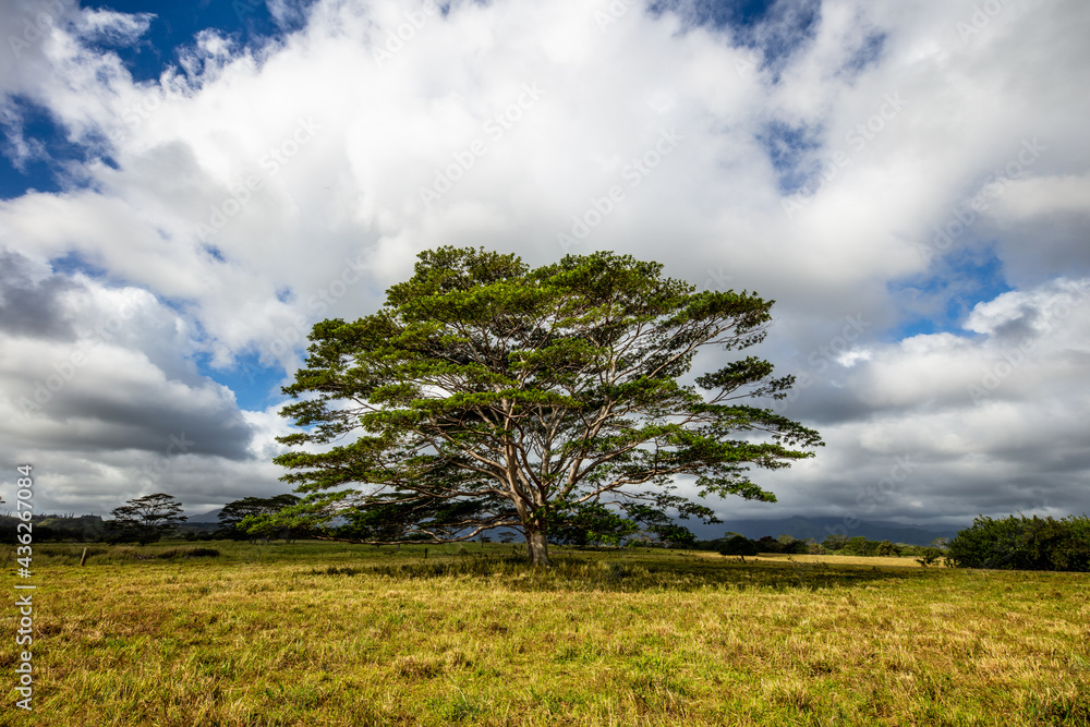 Travel Images of Hawaii Travel Images of Hawaii