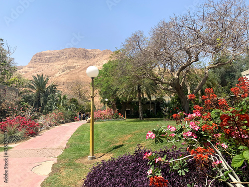 Quadro su tela Ein Gedi Botanical Garden on the shores of the Dead Sea