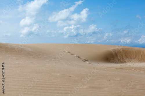 desert sand dunes background with copy space