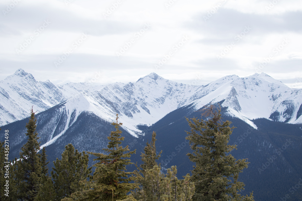 Mountain Peaks Range Forest