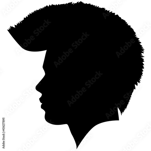 Irokese punk hairstyle for a adult men Anarcho punk (or anarchist punk) rocker, bad guy look hairstyle. Pixie Cut Iroquois haircut on a man profile picture vector illustration realistic silhouette photo