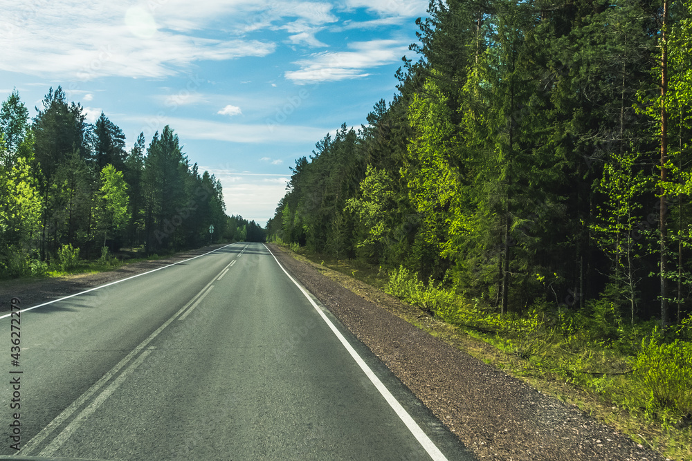 The road among the Karelian taiga. Pine forest on the side of the road. Trip to Karelia. Highway among the trees. Driving on a trip to beautiful places. Karelia. Day.