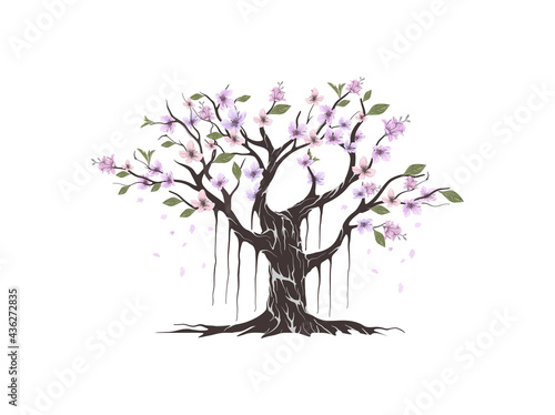 beautiful cherry tree vector isolated