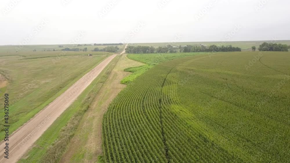 Aerial Forward Shot Of Walkway Amidst Green Landscape In Field Against Clear Sky - Oakley, Kansas Aerial Forward Shot Of Walkway Amidst Green Landscape In Field Against Clear Sky - Oakley, Kansas