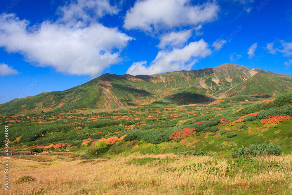 大雪山国立公園旭岳裾合平の紅葉