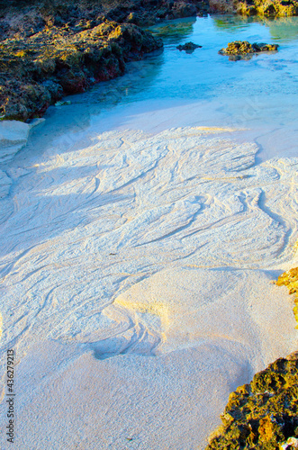low tide at the beach