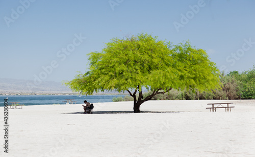 Lake Havasu City In Arizona