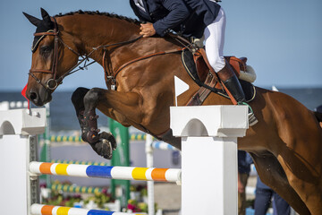 Horse Jumping, Equestrian Sports, Show Jumping themed photo.