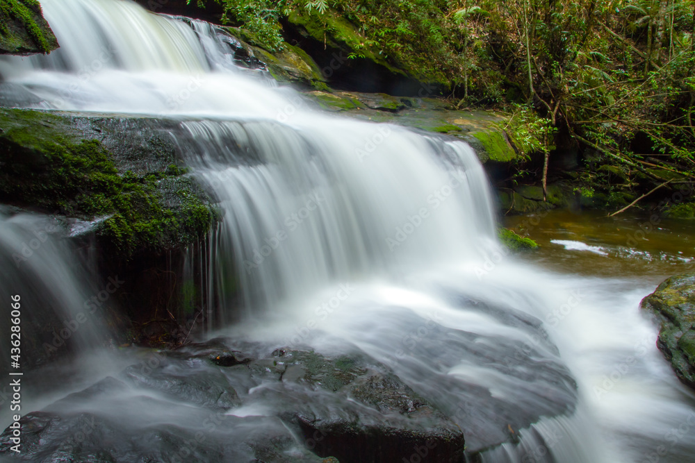 waterfall in the forest waterfall in the forest