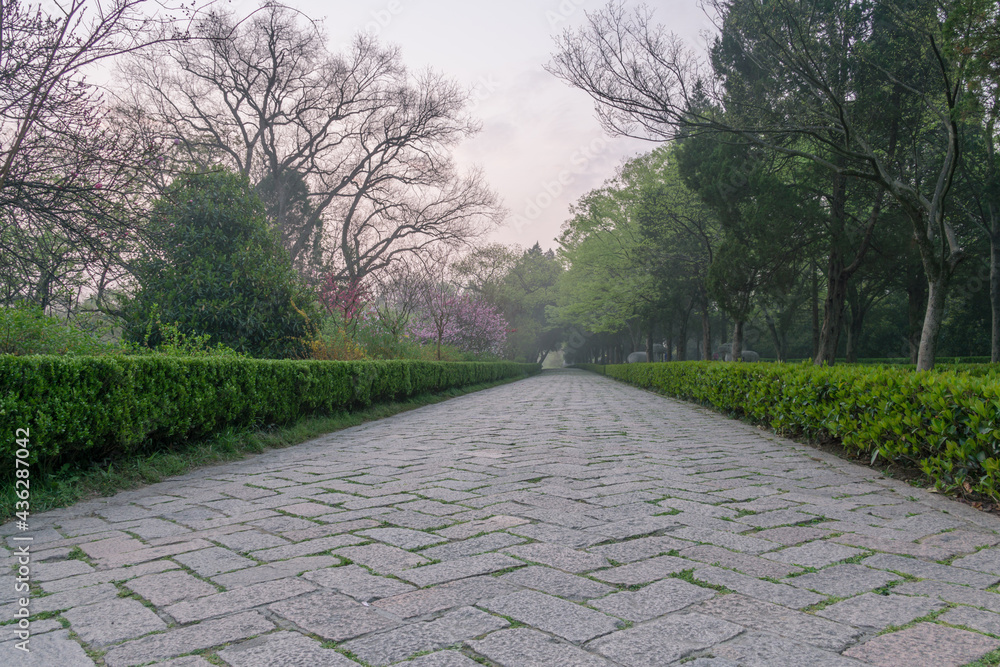 Ming Xiaoling scenic spot in Nanjing, China, with cherry blossoms in full bloom in spring. Ming Xiaoling scenic spot in Nanjing, China, with cherry blossoms in full bloom in spring.
