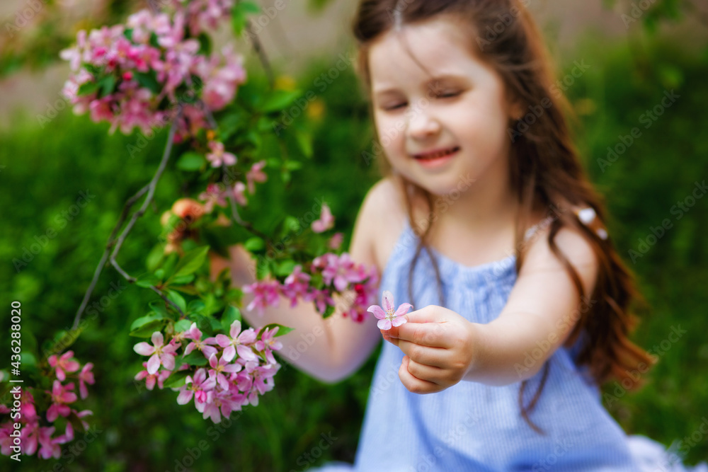 Selective focus. A child holds a pink flower. A little happy girl is playing under a blooming apple tree with a flower. Summer fun for families with children outdoors in the beautiful spring garden Selective focus. A child holds a pink flower. A little happy girl is playing under a blooming apple tree with a flower. Summer fun for families with children outdoors in the beautiful spring garden