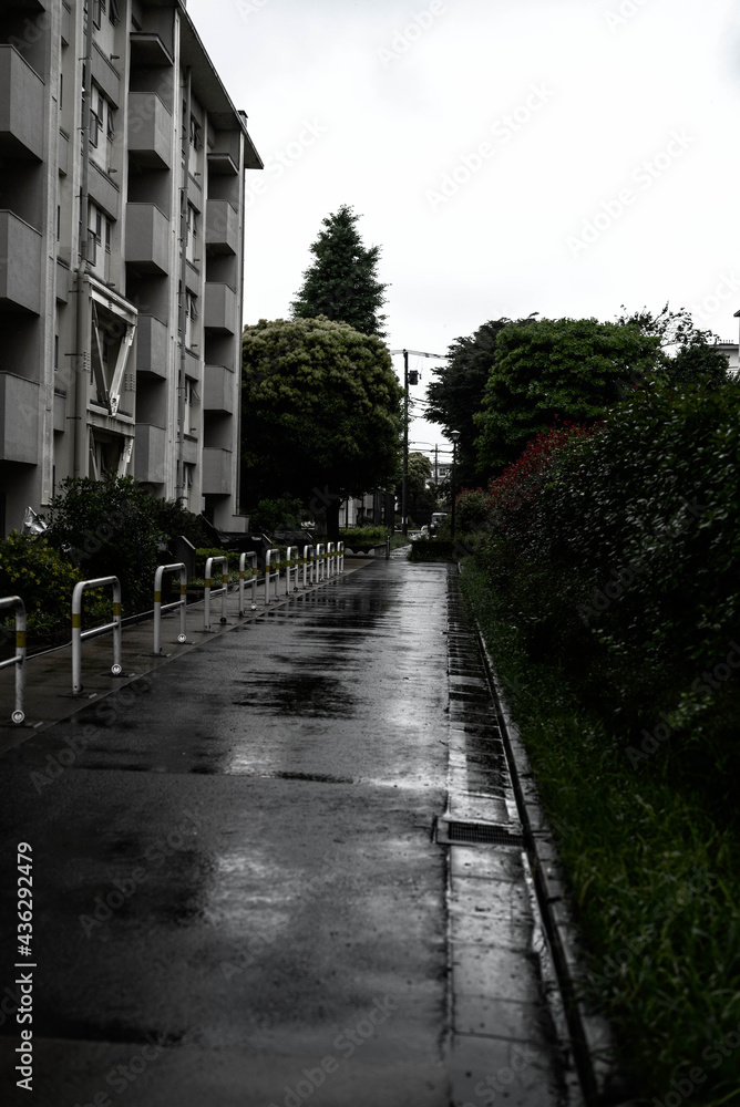 Fototapeta premium 神代団地