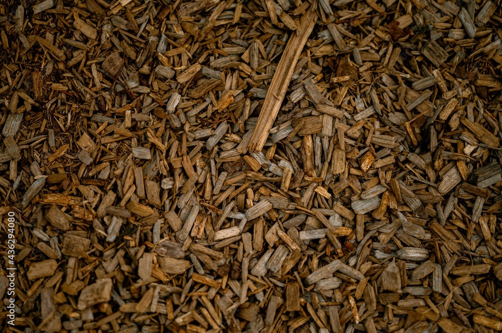 Mulch at the Park