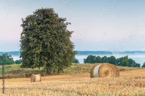 Fototapeta Naklejka Na Ścianę i Meble -  View of the Masurian fields.