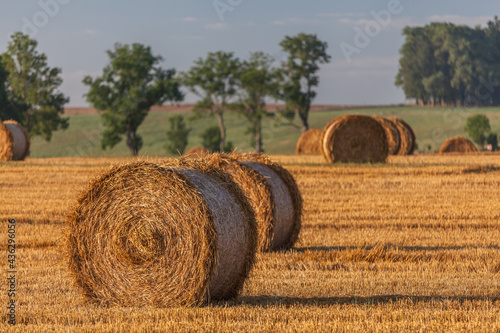 Fototapeta Naklejka Na Ścianę i Meble -  View of the Masurian fields.